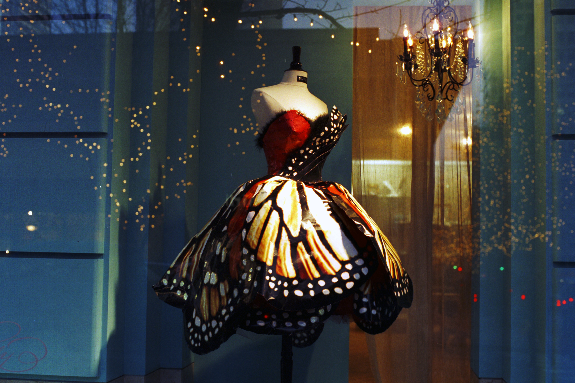 butterfly-dress-1520606