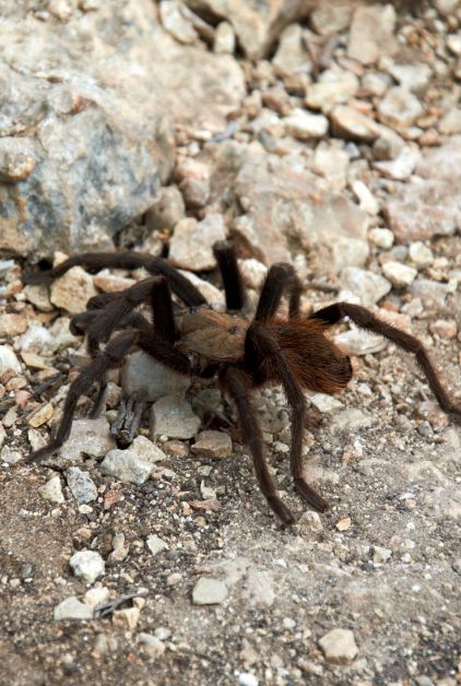 6e83c81a6d179c05d9b72348ae5b969b